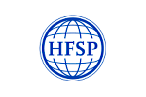 HFSP