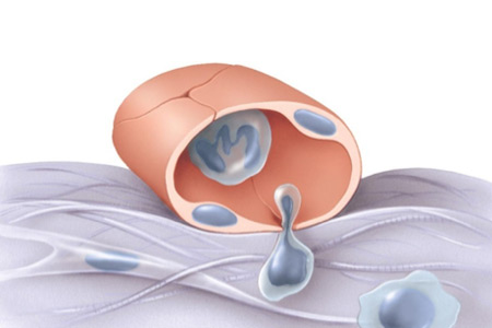 Nano-Mechano-Biology on living cell membranes