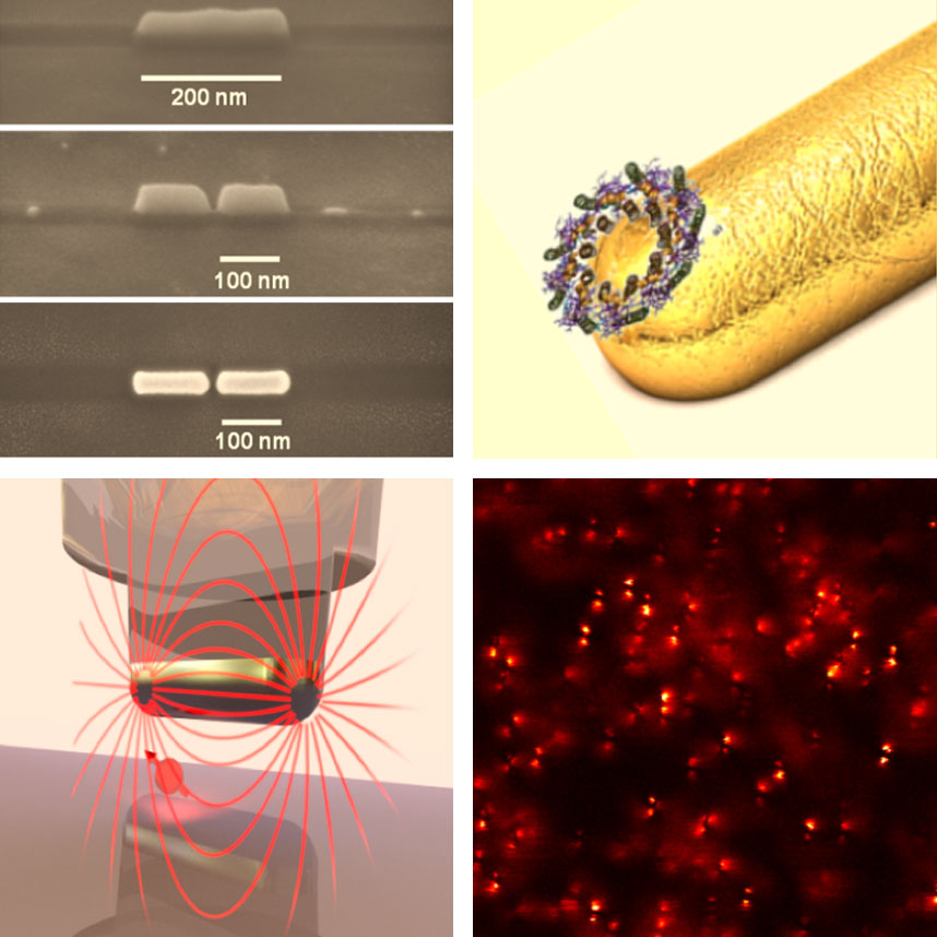 Plasmonics in Biology