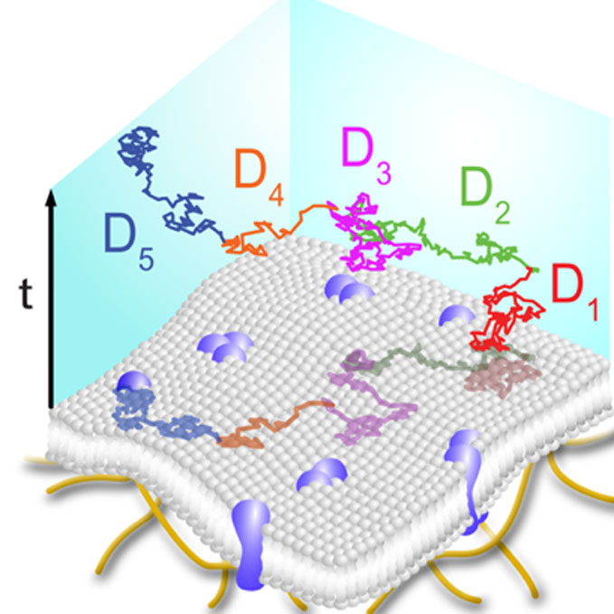 Microscopic models of random walks