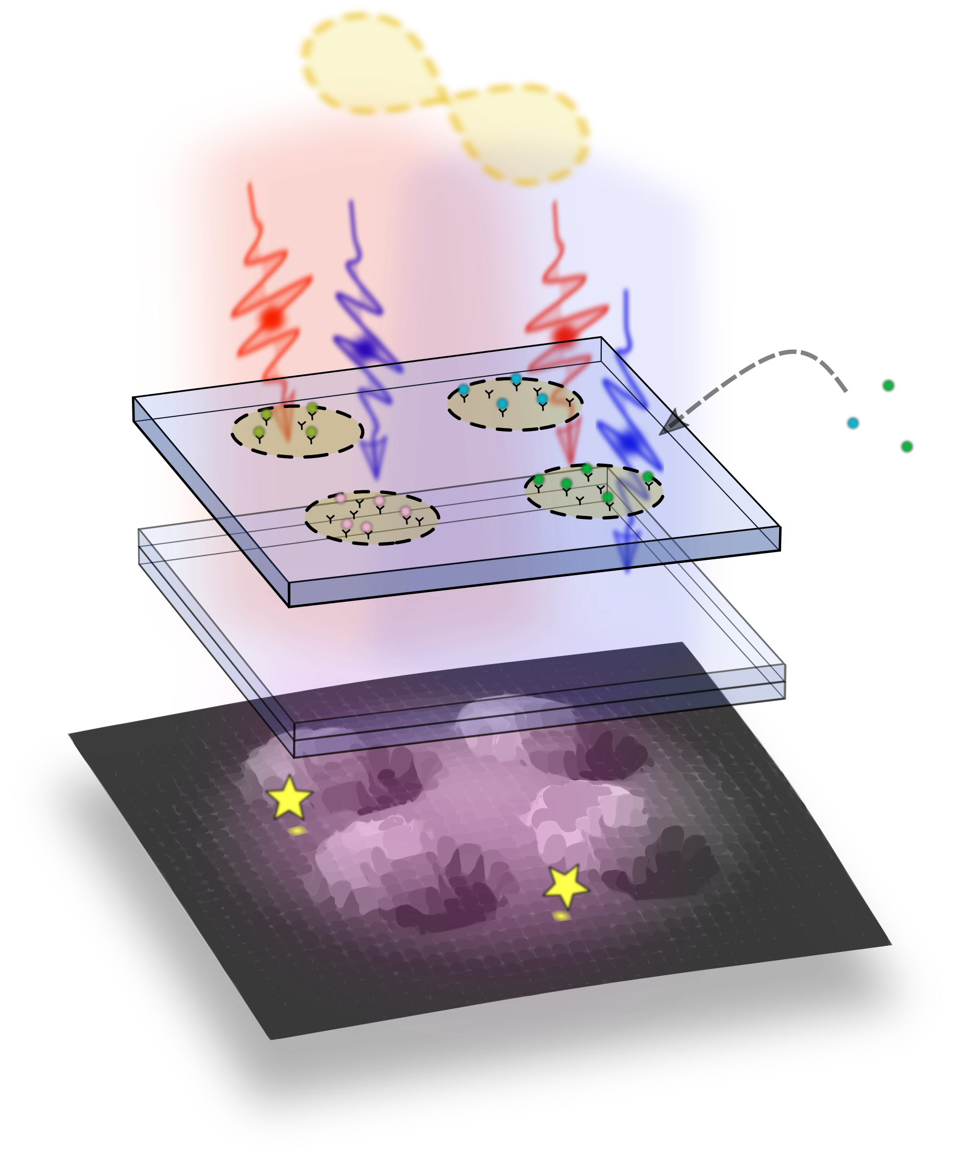 Quantum-enhanced on-chip interference microscopy (QMIC)